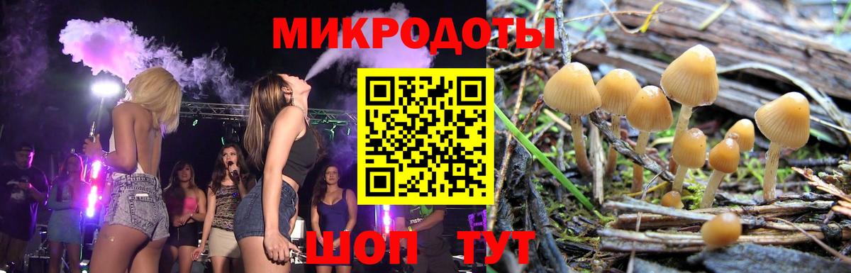 Псилоцибиновые грибы GOLDEN TEACHER  Вход с VPN  Псилоцибиновые грибы MAGIC MUSHROOMS  Белгород 